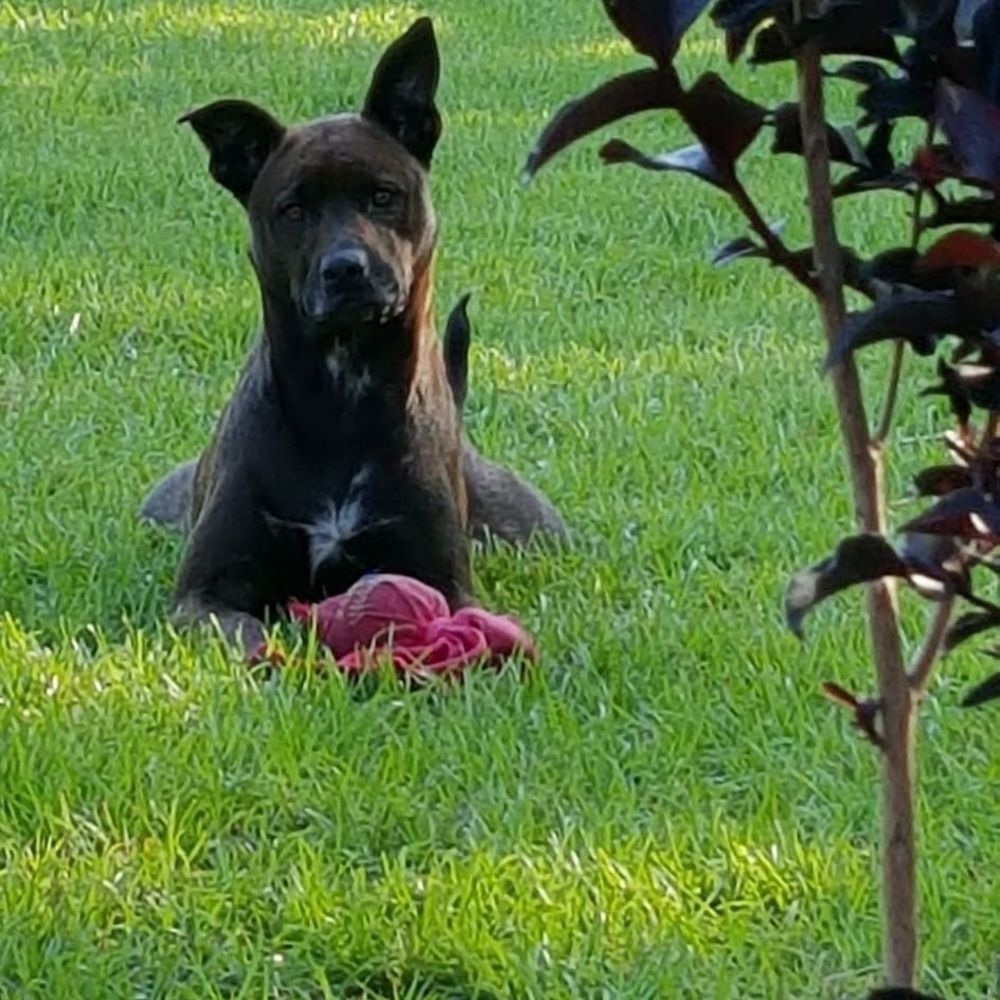 Meet your Posher, Brooke